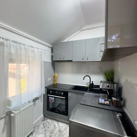 S&s 1 Bedroom With Balcony And Garden Free Parking At Location 2 Spaces דירה טימישוארה