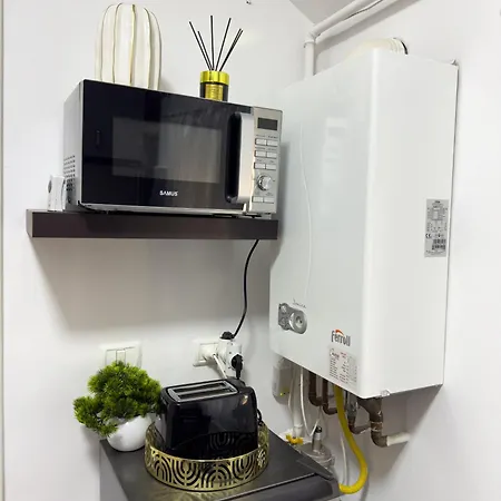 S&s 1 Bedroom With Balcony And Garden Free Parking At Location 2 Spaces טימישוארה