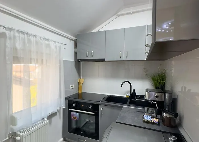 S&s 1 Bedroom With Balcony And Garden Free Parking At Location 2 Spaces Appartamento Timisoara